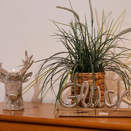 Am Kurpark Apartment *