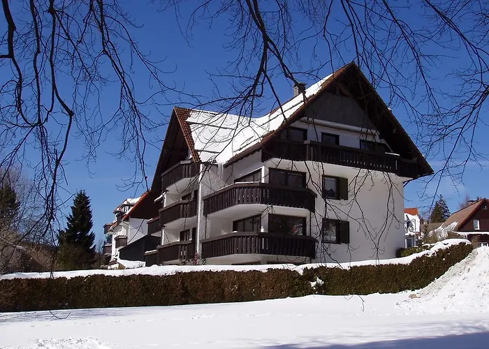 Am Kurpark 公寓 布劳恩拉格